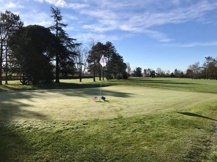 17201074_1402608956479170_651063141104387583_n